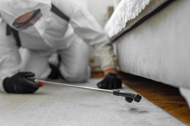 Professional Bed Bug Control technician working in Bridge City, LA