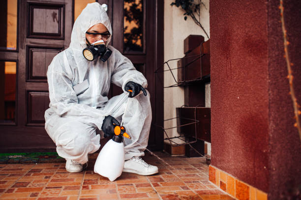 Reliable Bed Bug Control contractor in Bridge City, LA by Nex Pest Control